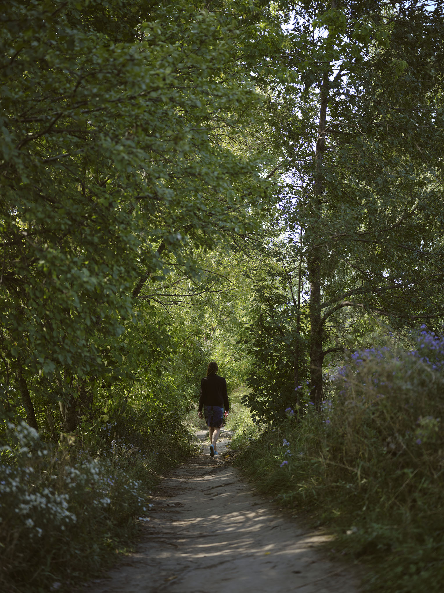 Photo de Suzanne Springer